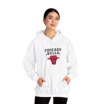 Chicago Bulls Pullover Hoodie